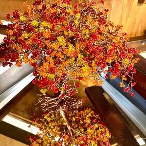 Beautiful Autumn changing tree